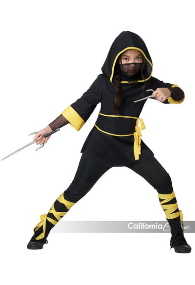 Ninja Girl Costume