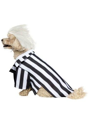 Beetlejuice Pet Costume