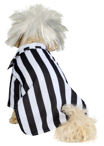 Beetlejuice Pet Costume