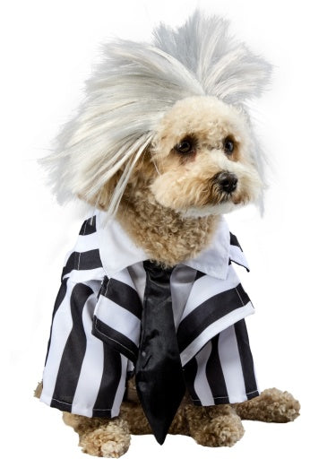 Beetlejuice Pet Costume