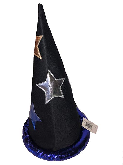 Black Wizard Hat with Purple Trim