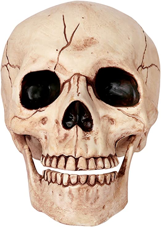 SKULL DECOR