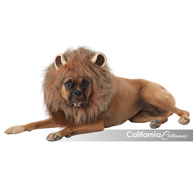 King of the Jungle