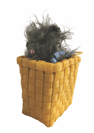 Toto Basket with Toto